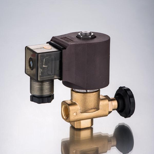 Steam Solenoid Valve - DL-6F